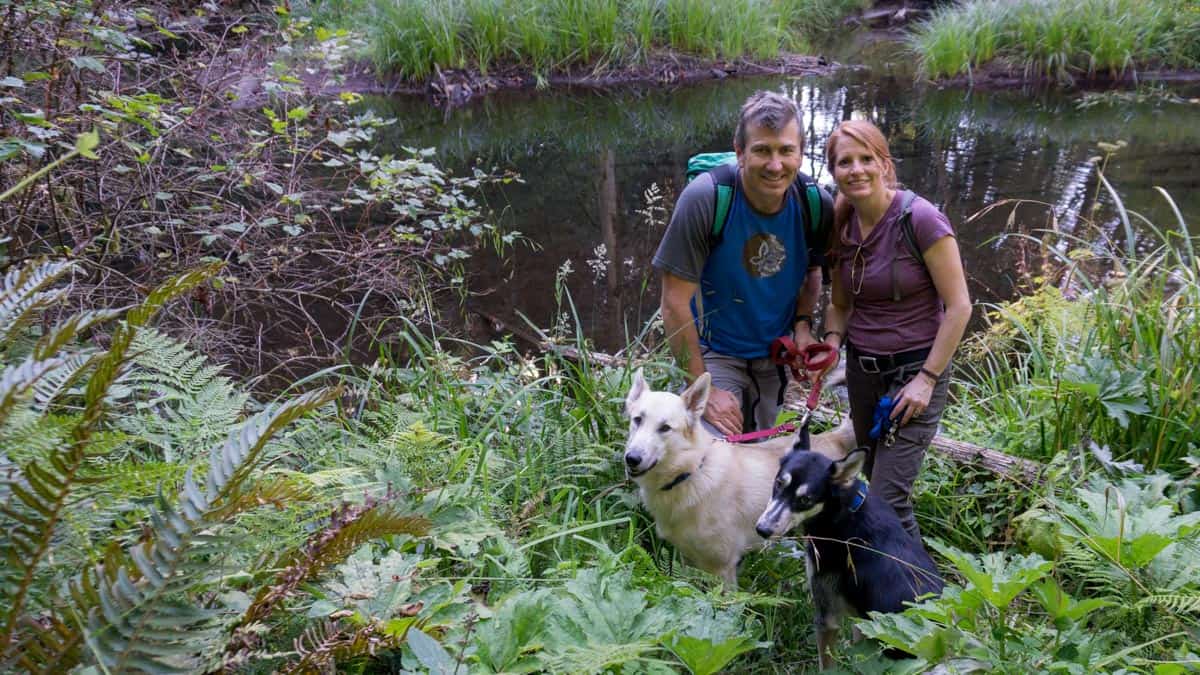 Oregon Petsit travel more