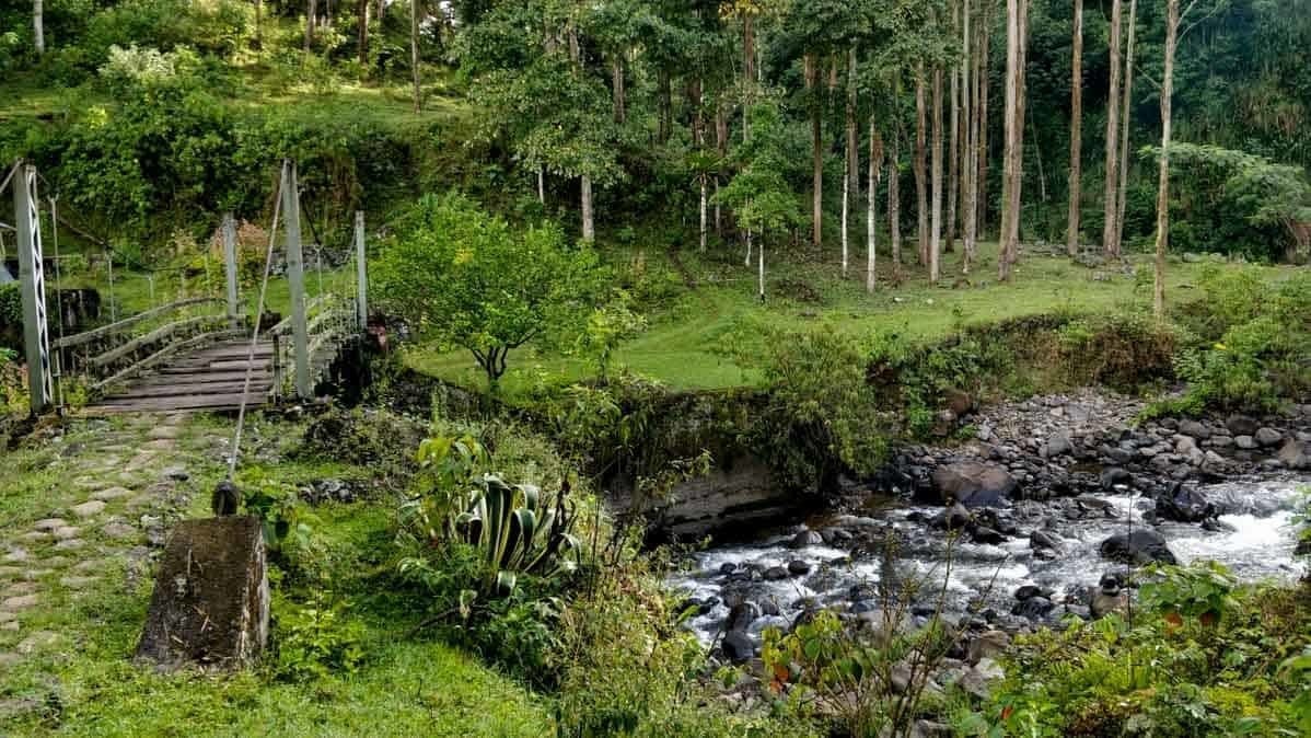 hike views of the river in Jardin Colombia 