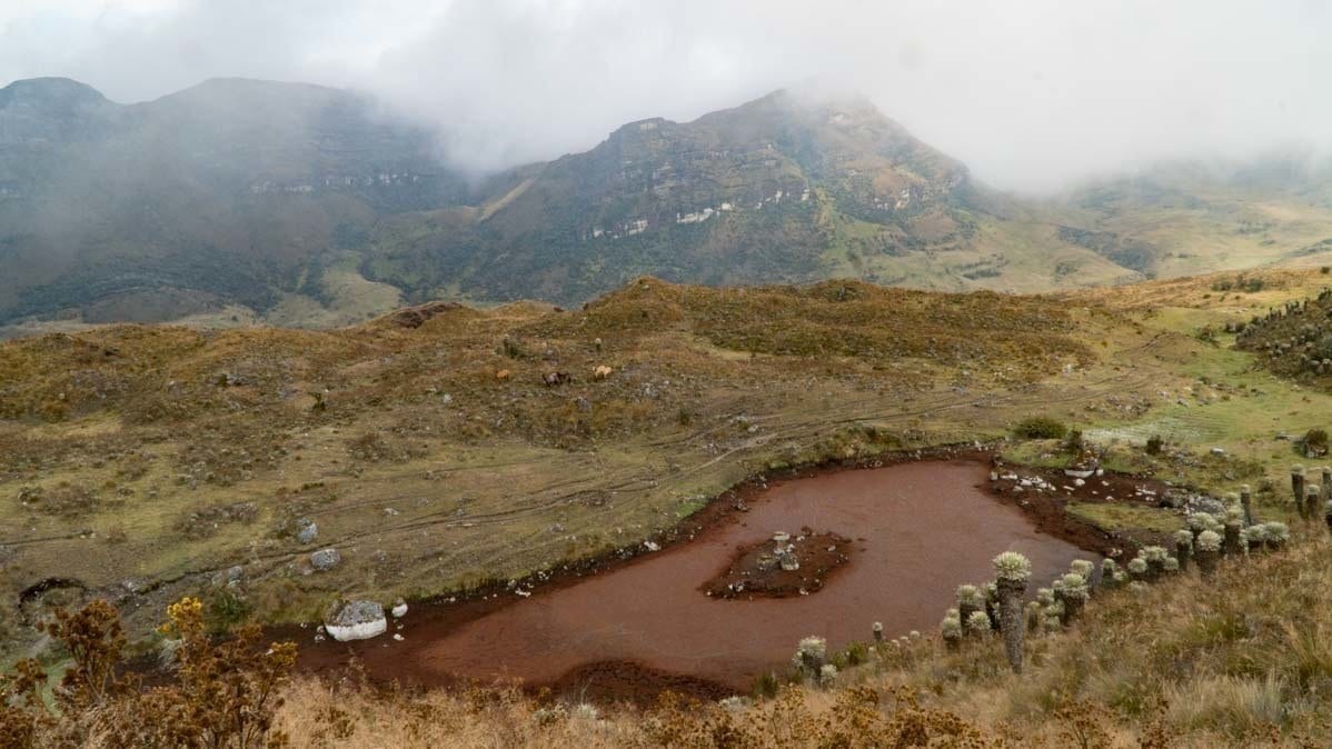 DSC00368 Views of the Paramo del Oceta