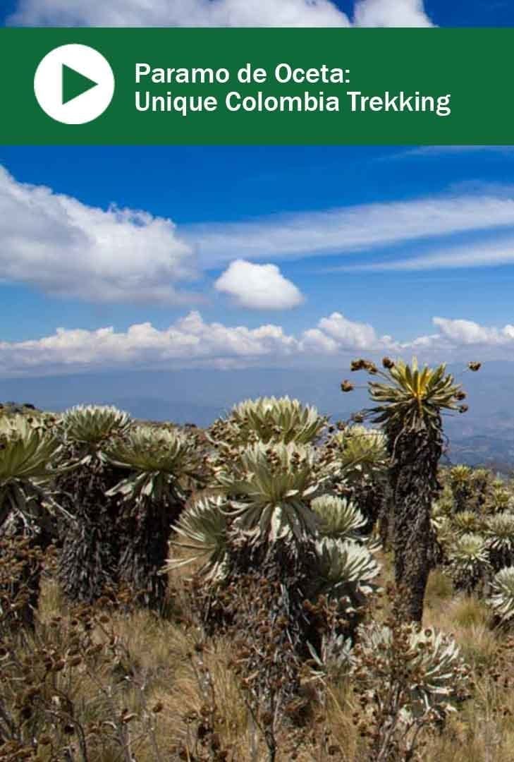 Paramo de Oceta_Unique Colombia Trekking_Pintrest Views across the plains of the Paramo de Oceta