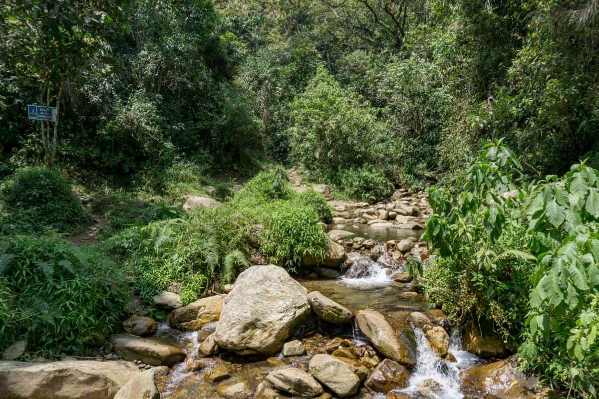 Medellin Waterfalls-03120