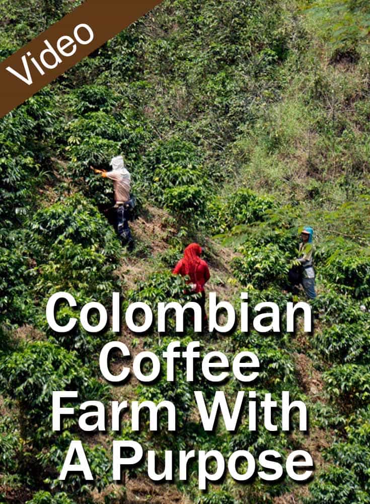 Colombian Coffee Farm With A Purpose_PIN