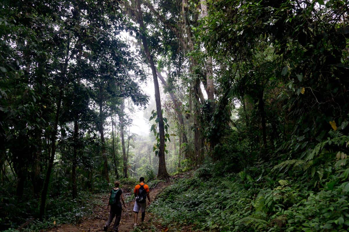 Lost City Trek Colombia