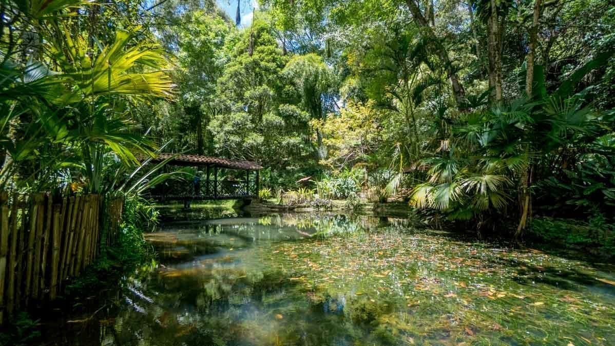 picture of lake inside the Jerico Colombia Botanical Gardens