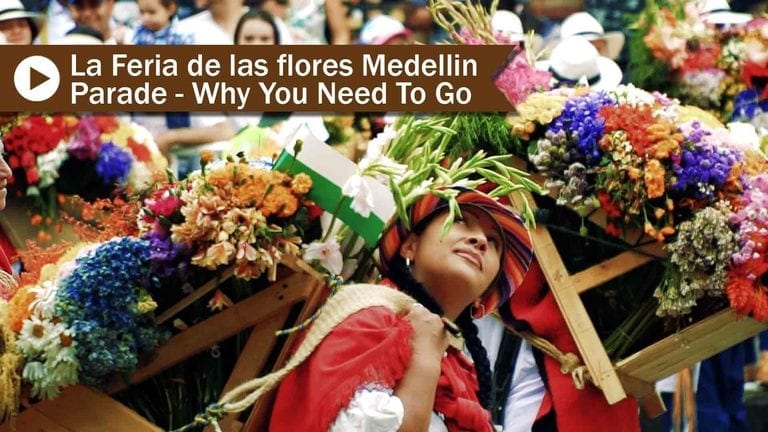 La Feria de las Flores Medellin- Why You Need to Go