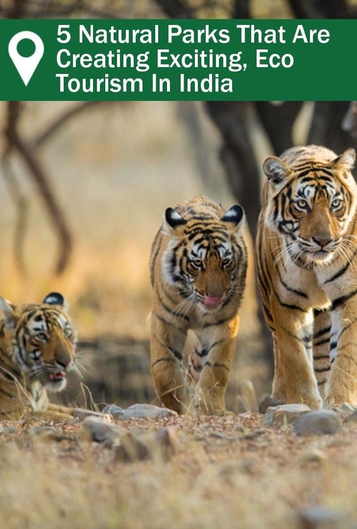 5 Natural Parks That Are Creating Exciting, Eco Tourism In India_Pintrest Eco Tourism in India - one of many amazing natural parks